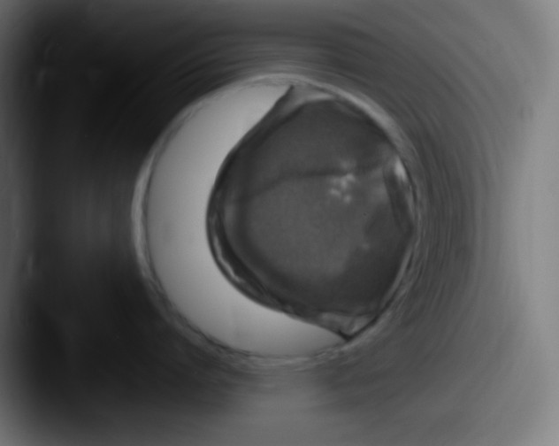 X0000087620864200705181312