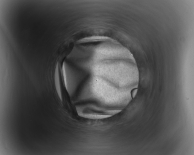 X0000087620866200705181311