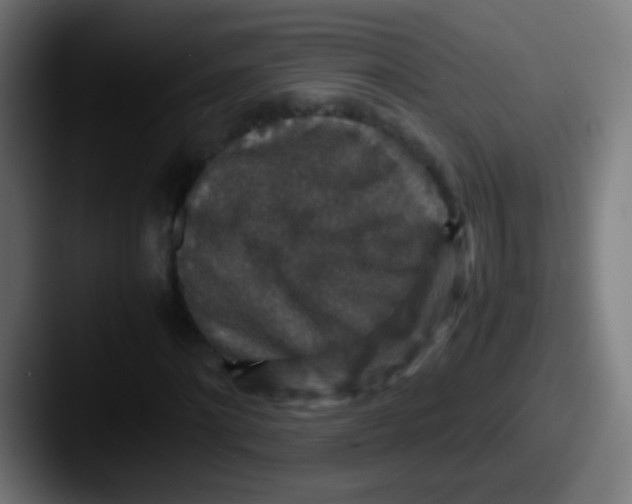 X0000087620868200705181311
