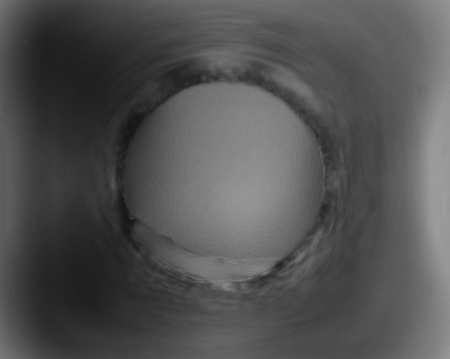 X0000087620869200705181311