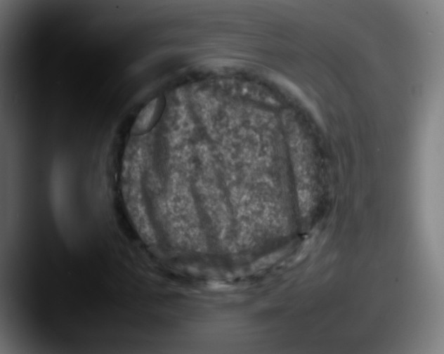 X0000087620871200705181311