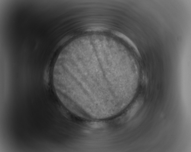 X0000087620874200705181311