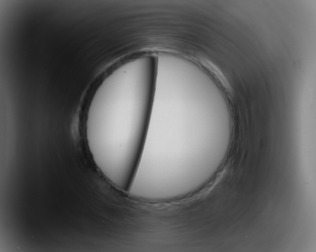 X0000087620876200705181311