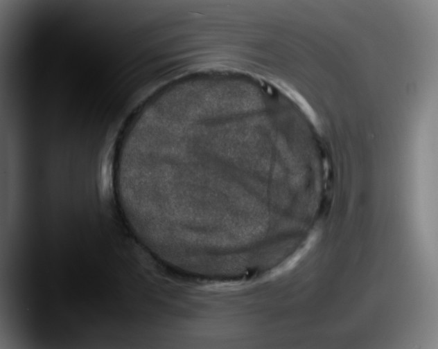 X0000087620877200705181311