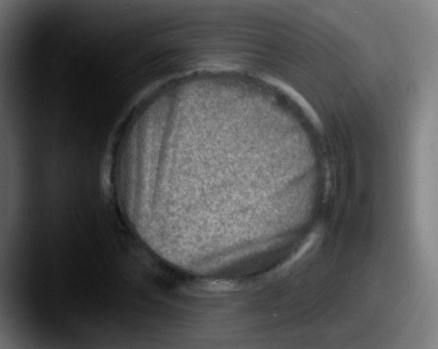 X0000087620878200705181311