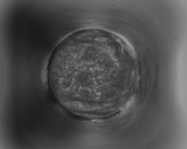 X0000087620879200705181311