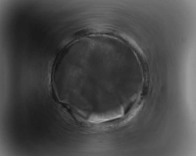 X0000087620881200705181311