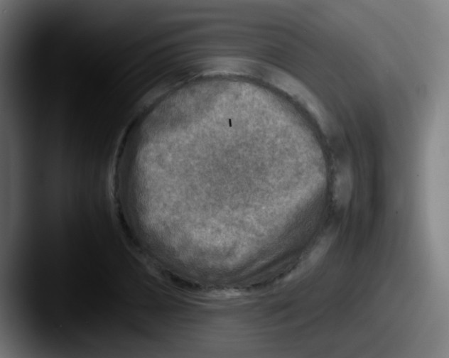 X0000087620882200705181311