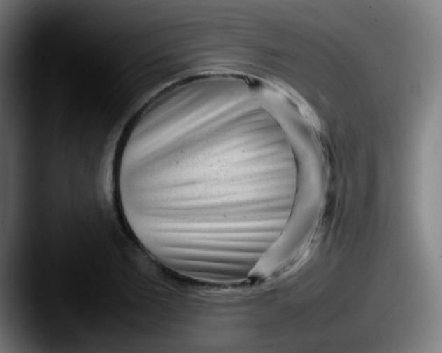 X0000087620885200705181311