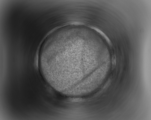 X0000087620886200705181311