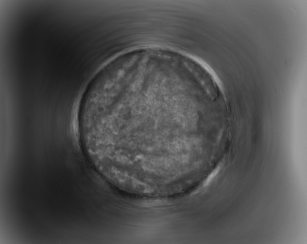 X0000087620887200705181311