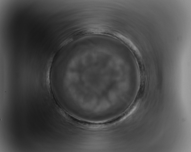 X0000087620889200705181311