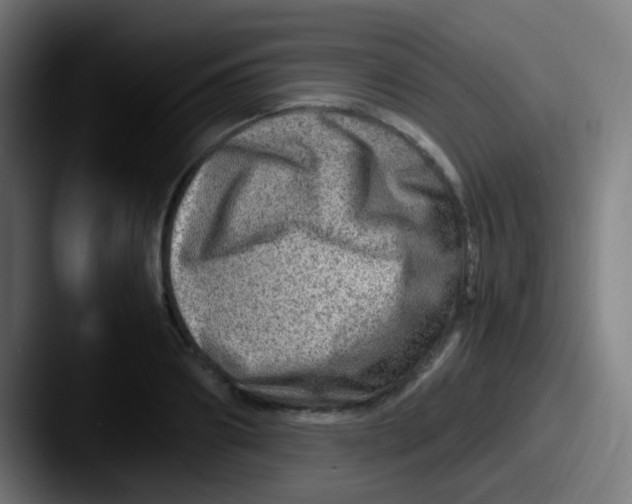 X0000087620890200705181311