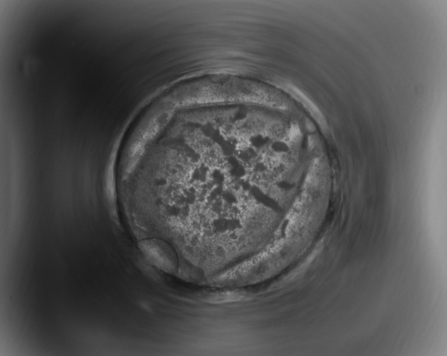 X0000087620891200705181311