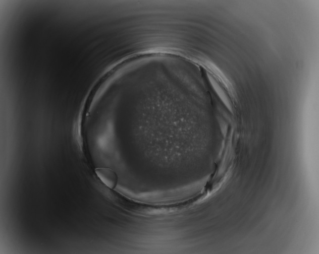 X0000087620892200705181311