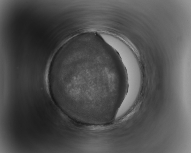 X0000087620893200705181311
