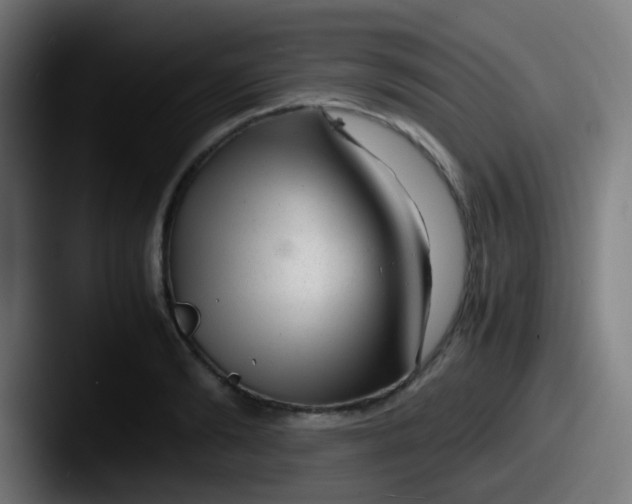 X0000087620894200705181311
