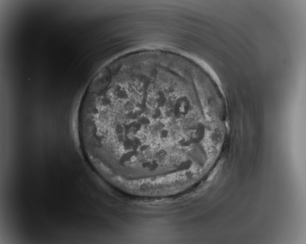 X0000087620895200705181311