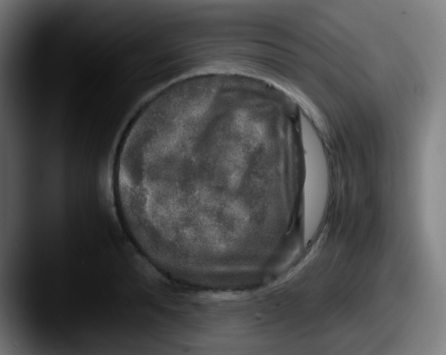 X0000087620896200705181311