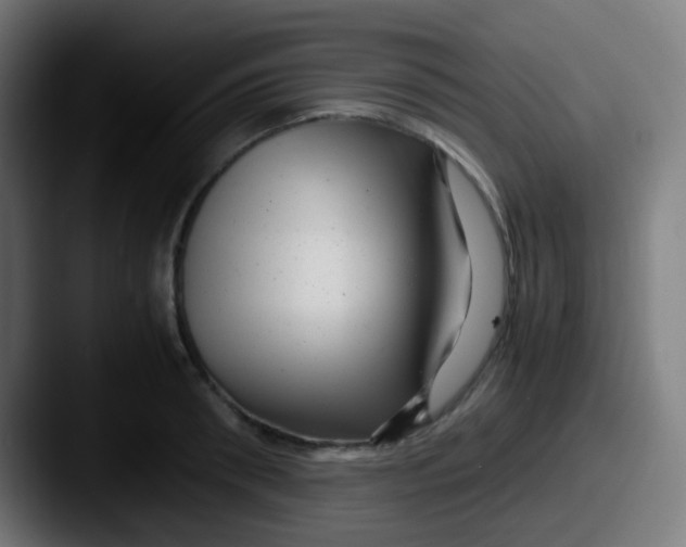 X0000087620898200705181311