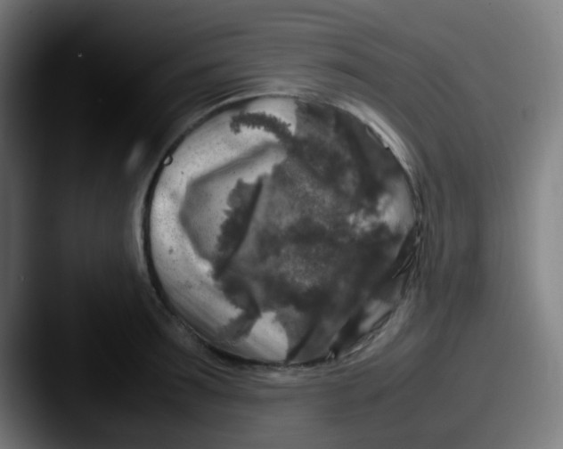 X0000087620899200705181311