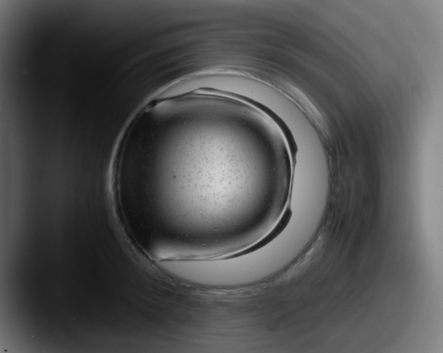 X0000087620900200705181311