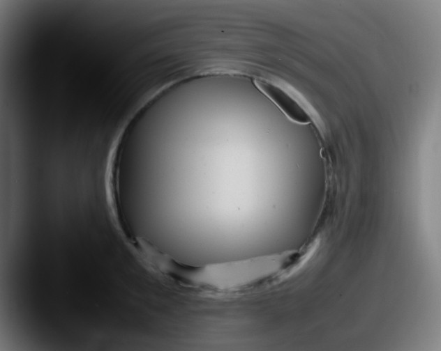X0000087620901200705181311