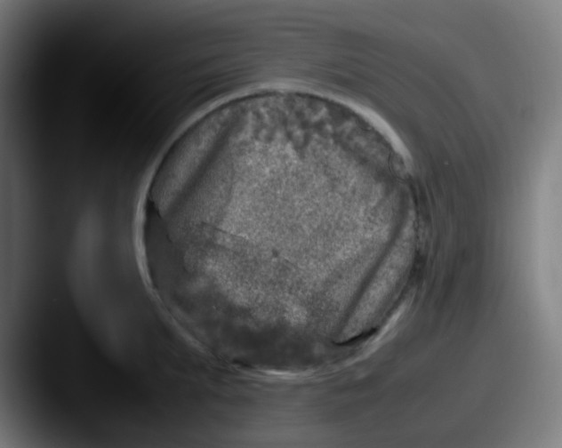 X0000087620903200705181311
