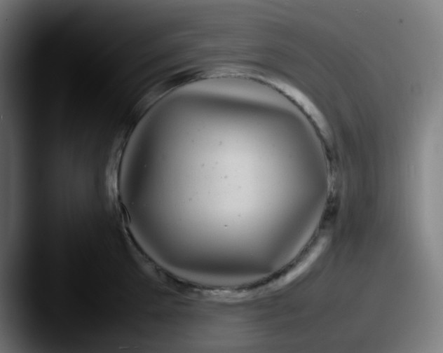X0000087620905200705181311