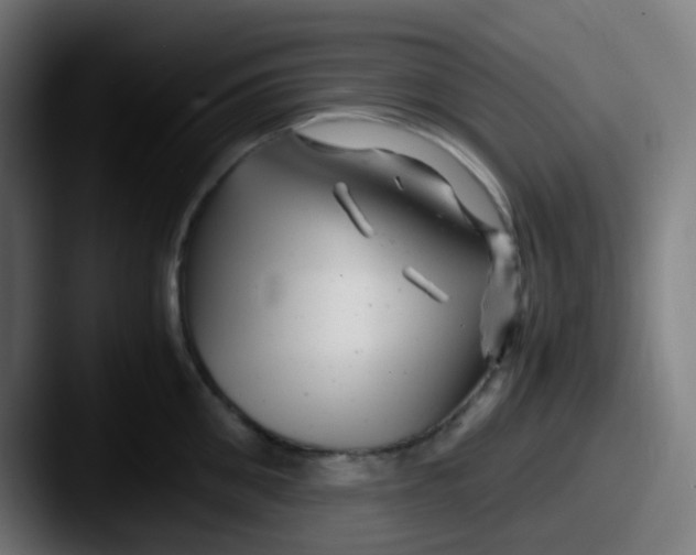 X0000087620906200705181311