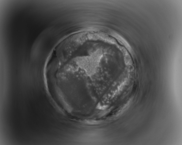 X0000087620907200705181311