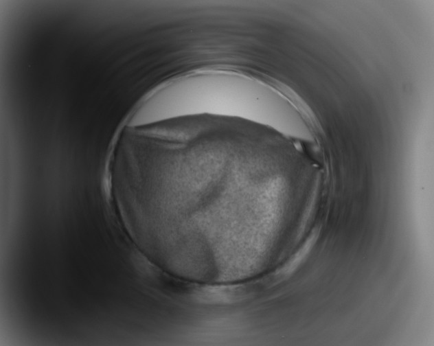 X0000087620908200705181311