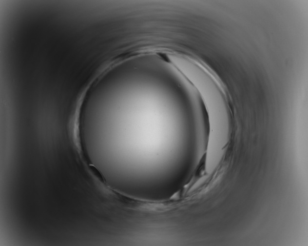 X0000087620909200705181311