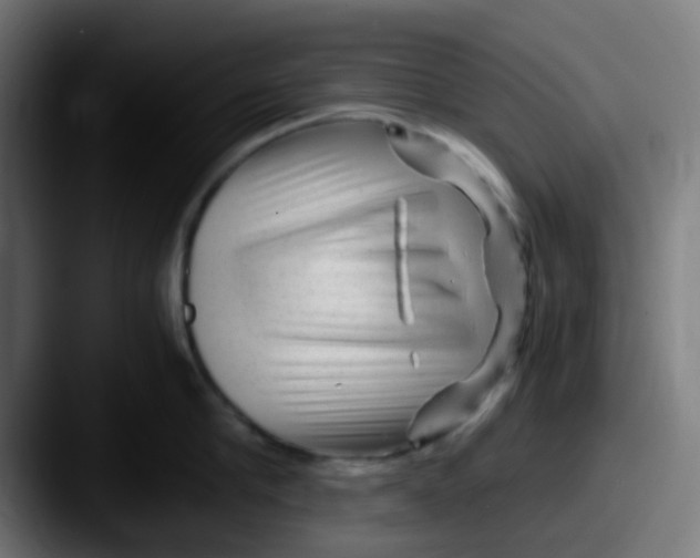 X0000087620910200705181311