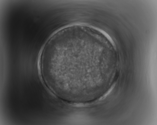 X0000087620911200705181311