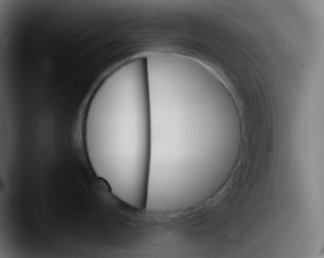 X0000087620912200705181311
