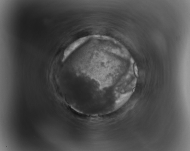 X0000087620913200705181310