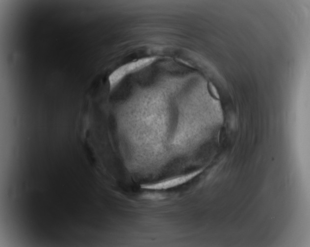X0000087620914200705181310