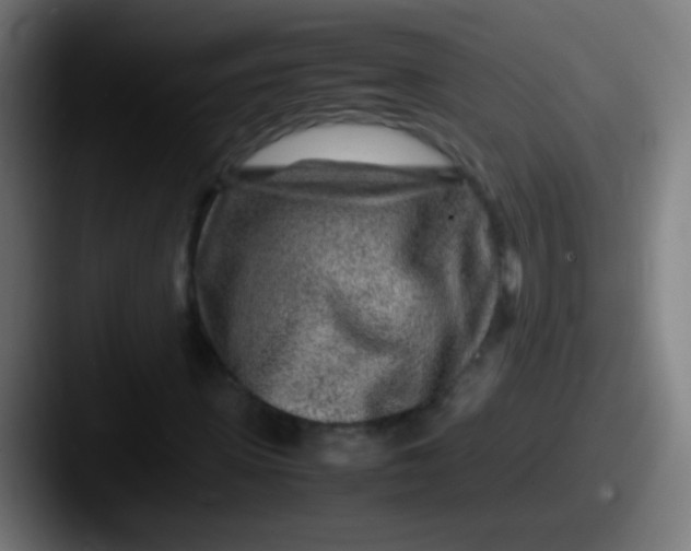 X0000087620915200705181310
