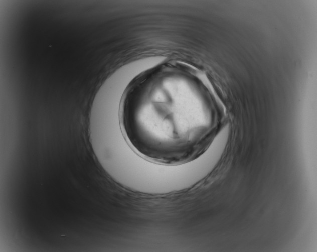 X0000087620916200705181310
