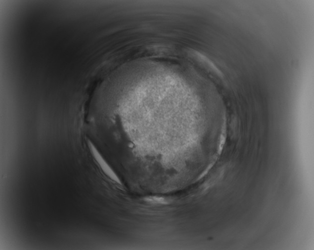X0000087620917200705181310