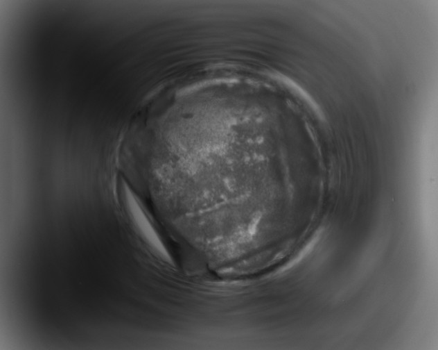 X0000087620921200705181310