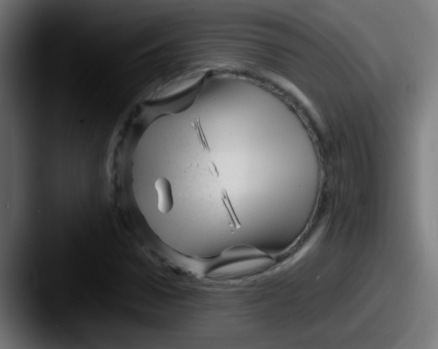 X0000087620922200705181310