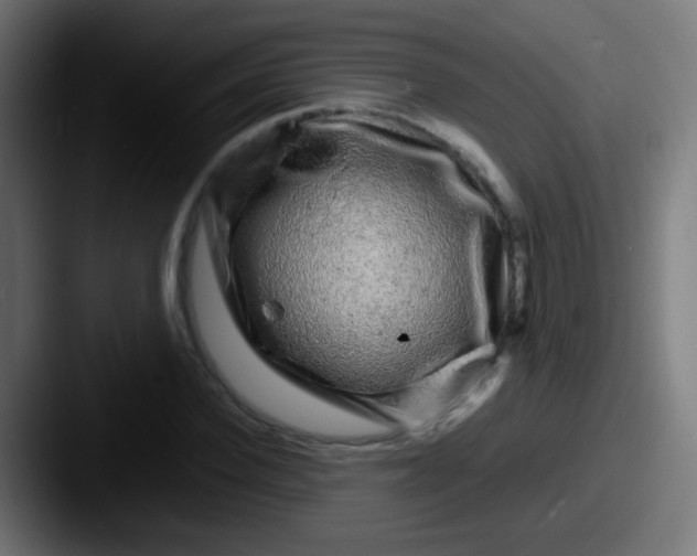 X0000087620924200705181310