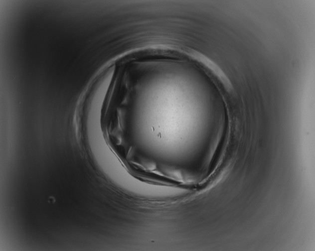X0000087620926200705181310