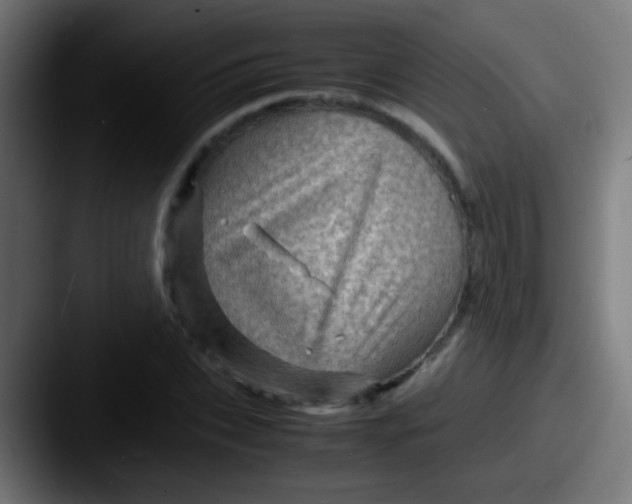 X0000087620927200705181310
