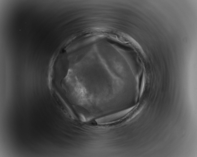 X0000087620930200705181310
