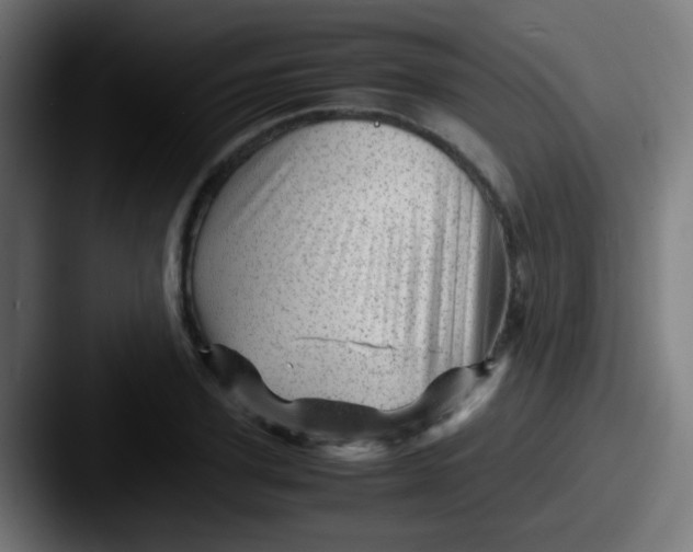 X0000087620931200705181310