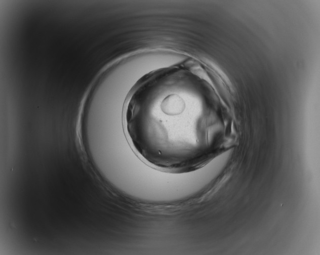 X0000087620932200705181310