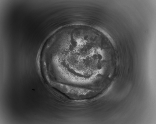 X0000087620933200705181310